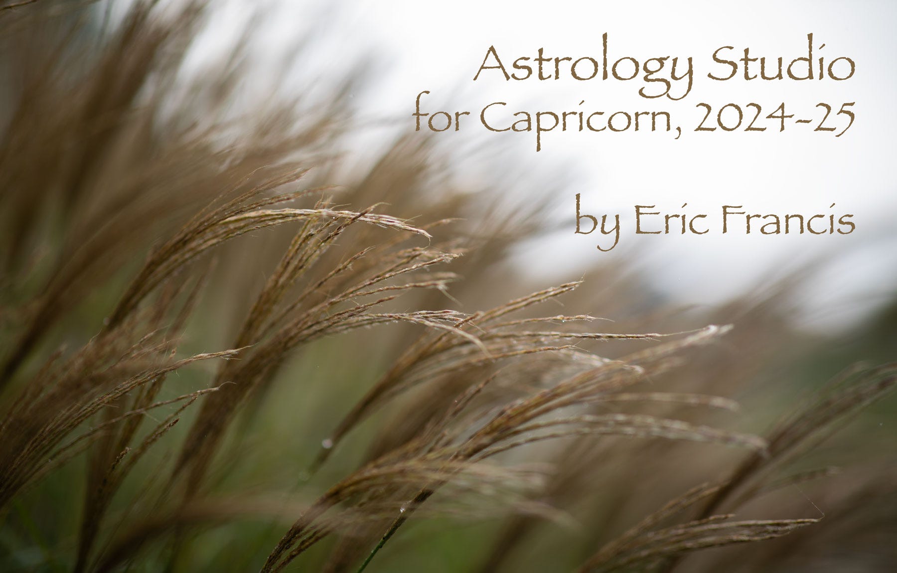 bcac9c28-5f98-43d3-983d-2a9ea7658925_1800x1150